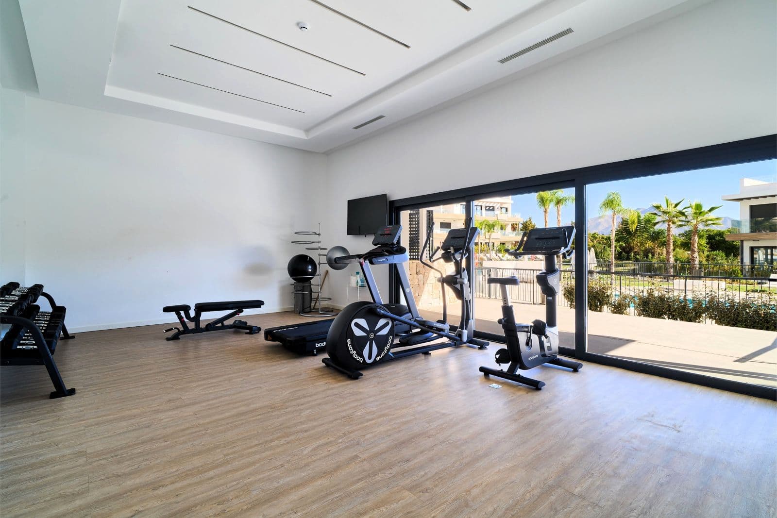 Atalaya Emotion Phase 1, 34