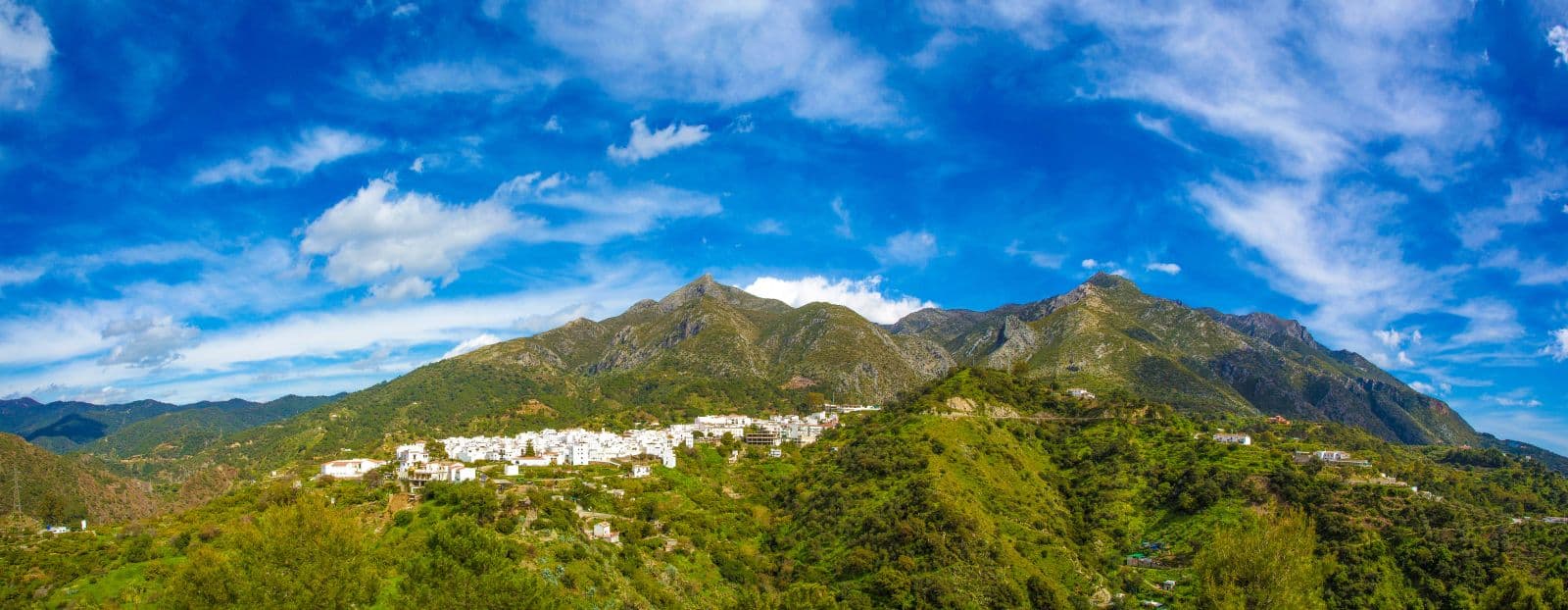 Almazara Hills, 28