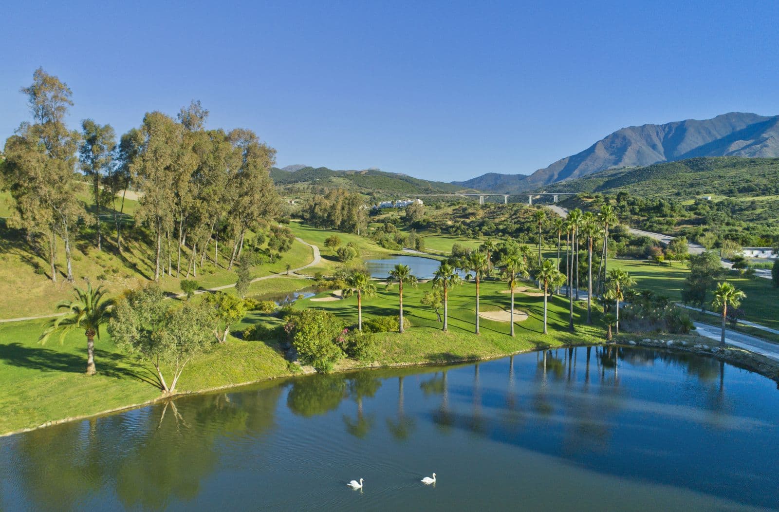 Sunny Golf - Key Ready, 24