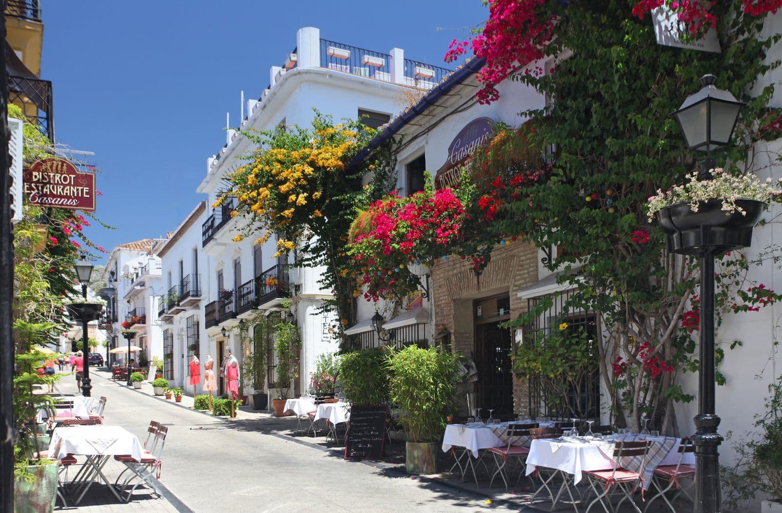 Almazara Views, 15