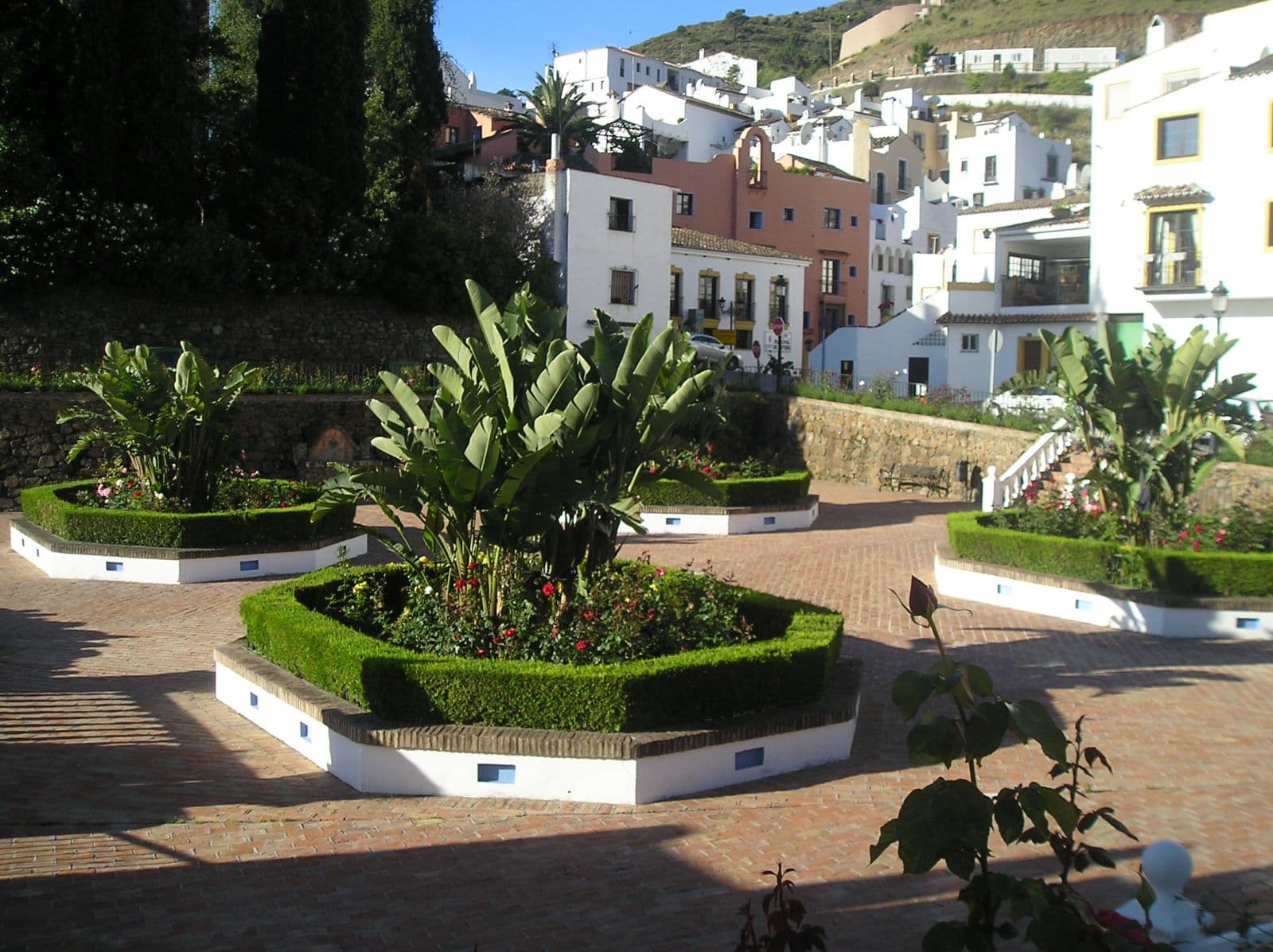 Fuente Lirios, 19