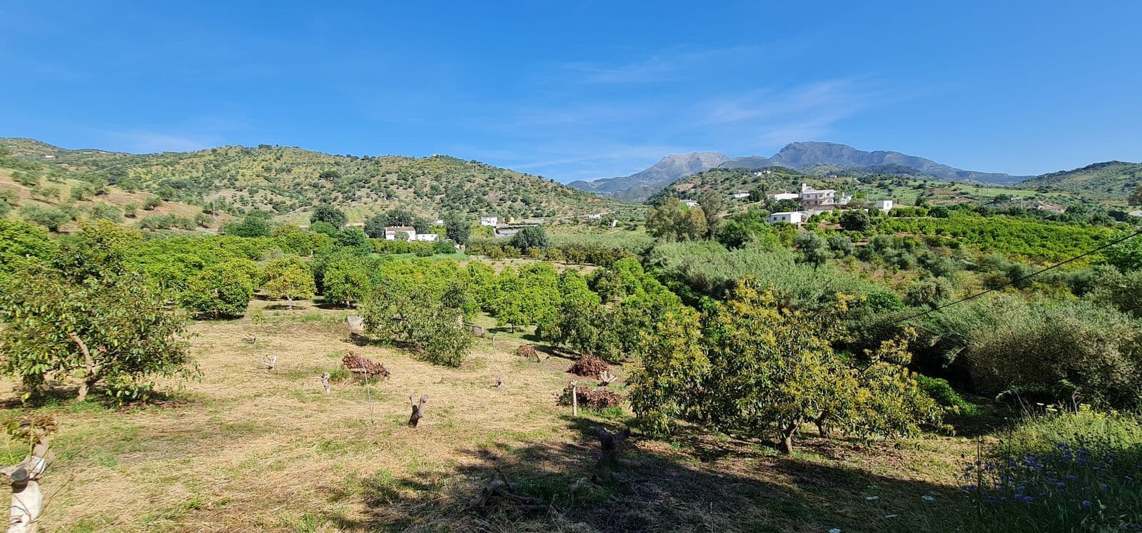 Land with Ruin in Tolox, Tolox