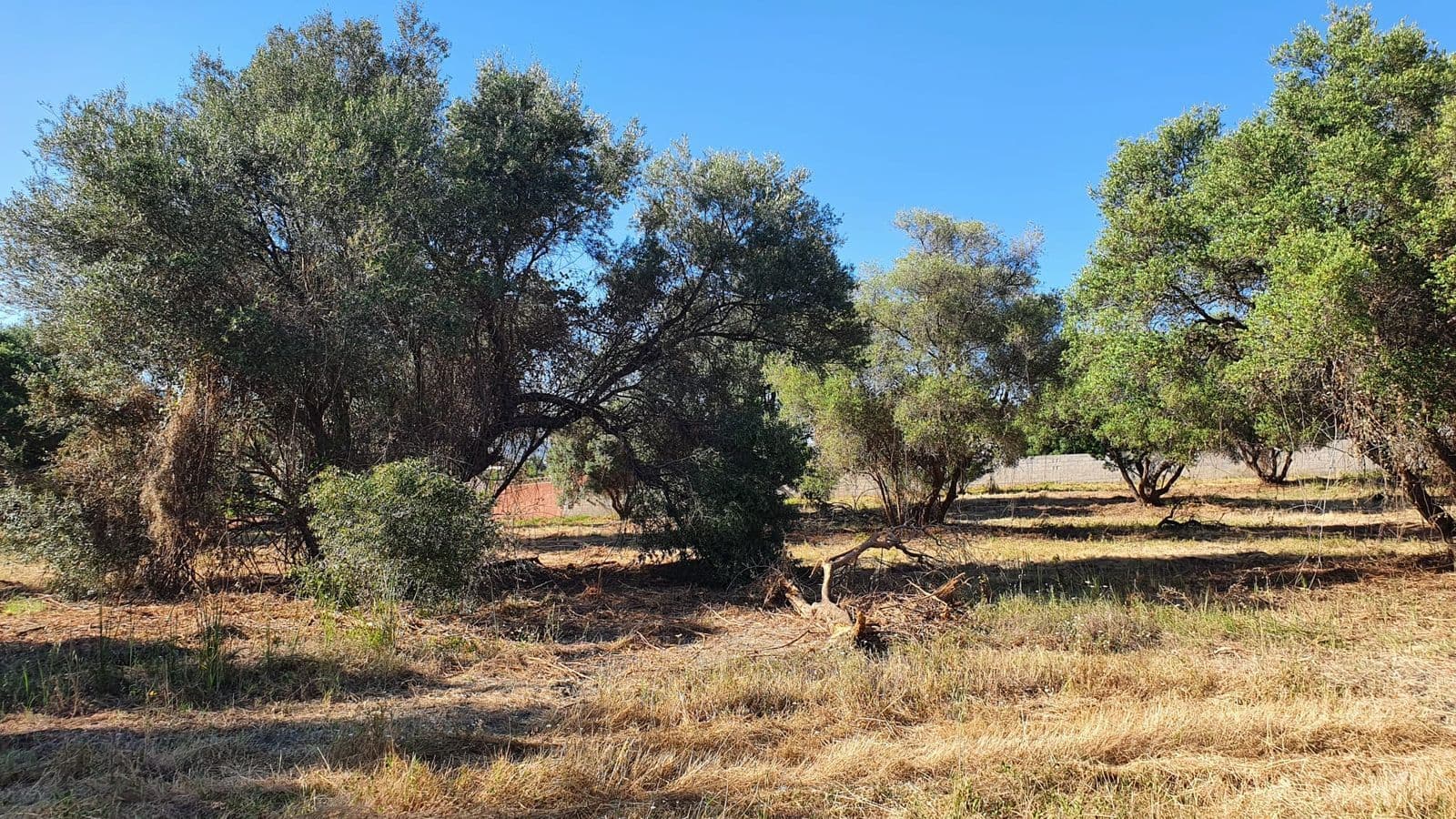 Land in San Pedro de Alcántara, Marbella