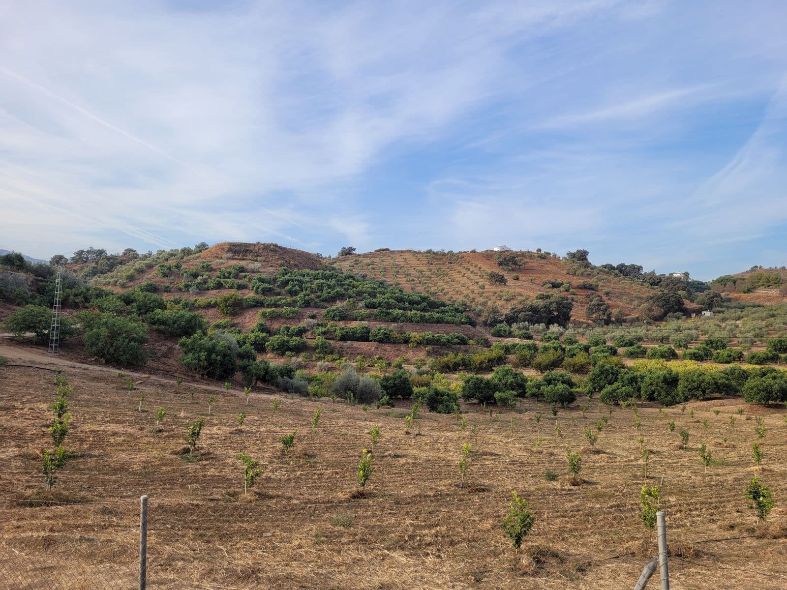 Land in Guaro, Guaro