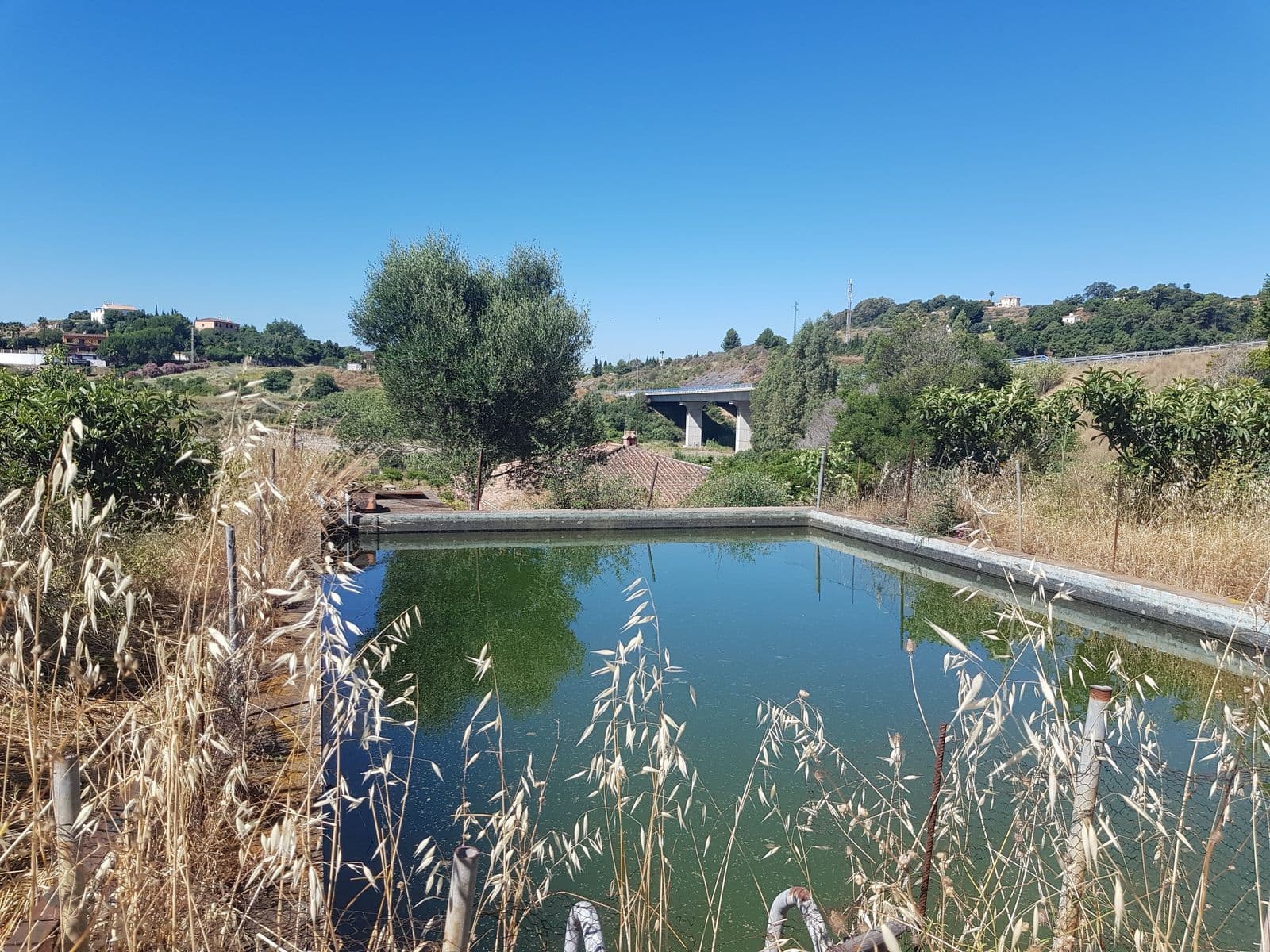 Finca - Cortijo in Estepona, Estepona