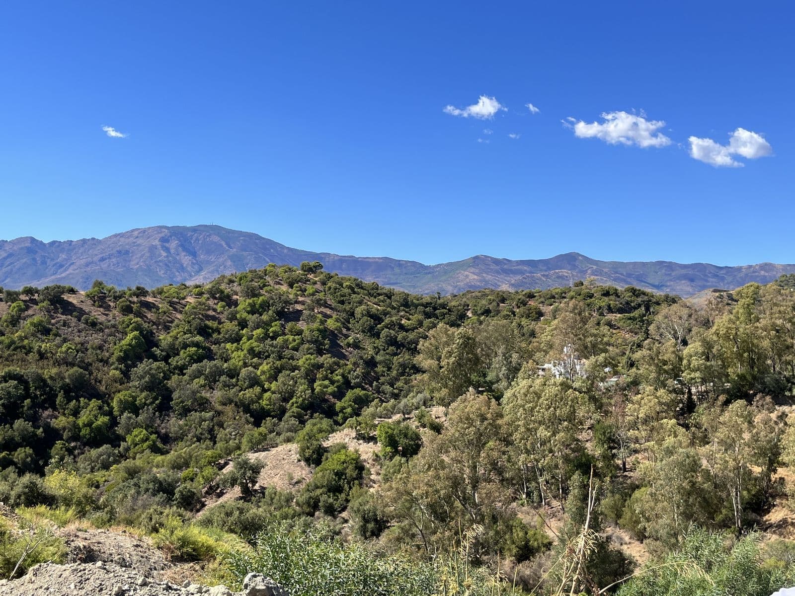 Residential Plot in Selwo, Estepona