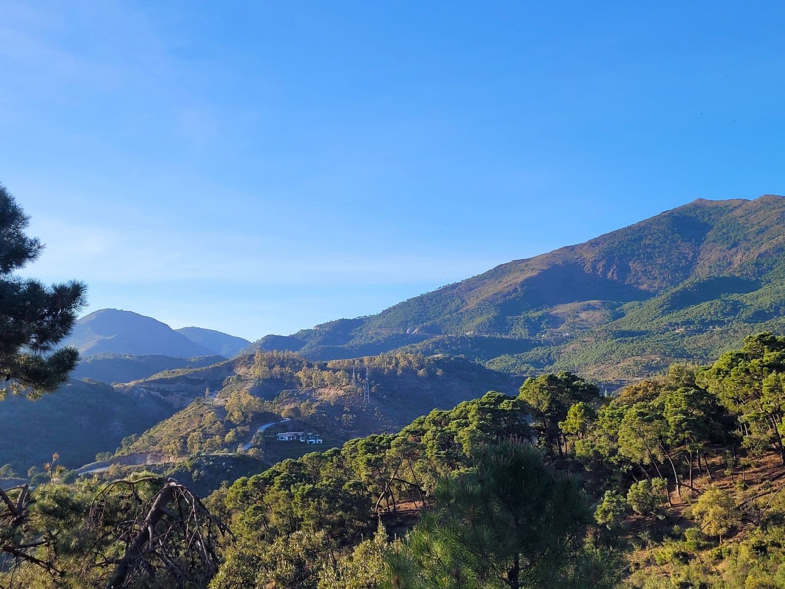 Land in La Zagaleta, Benahavís