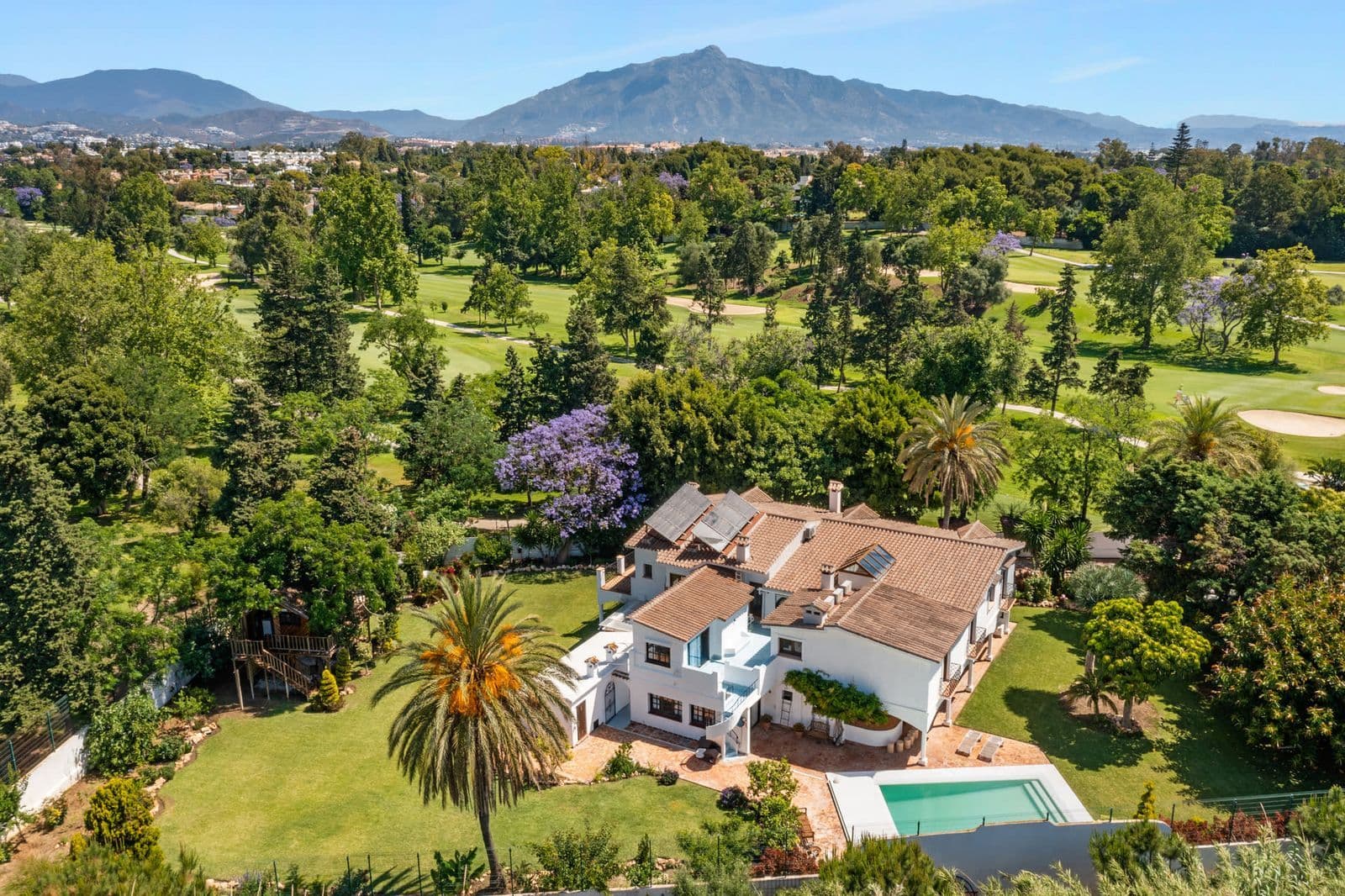 Detached Villa in Guadalmina Baja, Marbella
