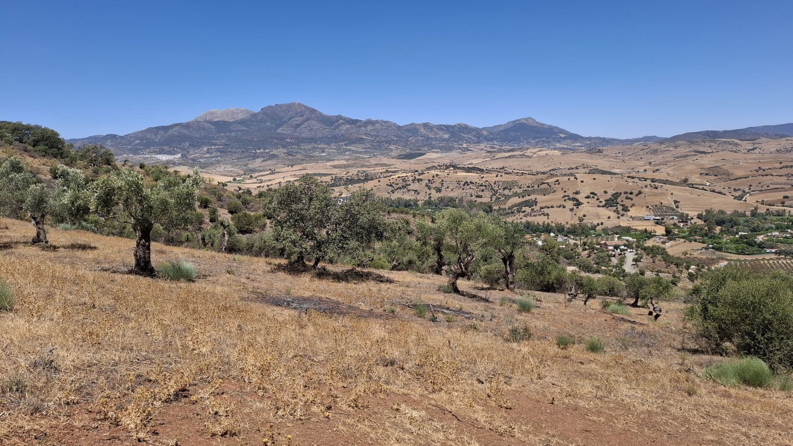 Land in Coín, Coín