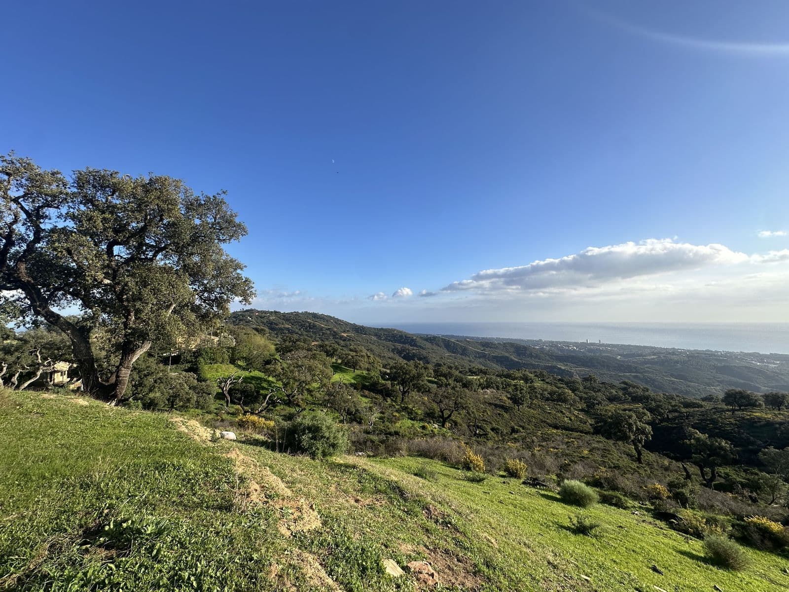 Land in La Mairena, Marbella East