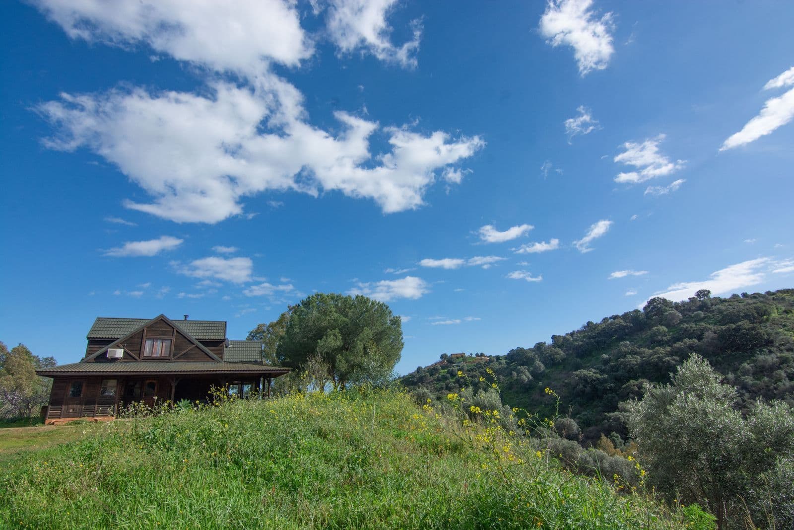 Finca - Cortijo in La Cala Golf, Mijas