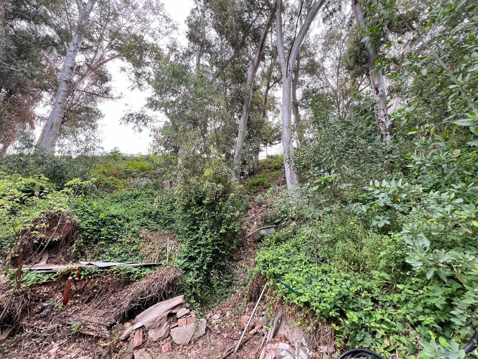 Residential Plot in Málaga, Málaga