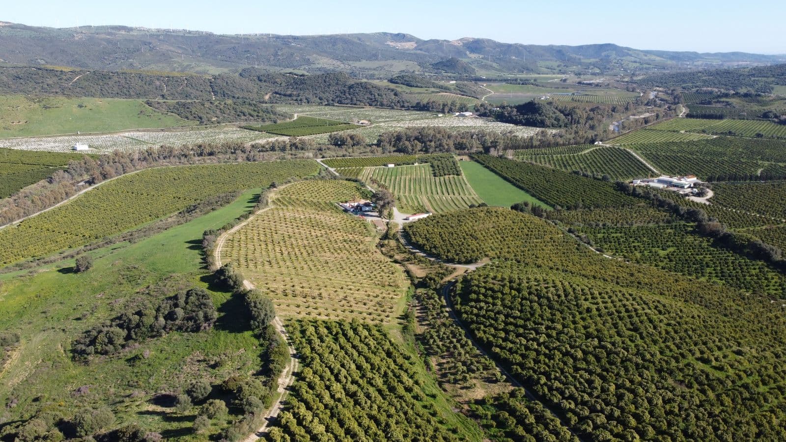 Land in Casares, Casares