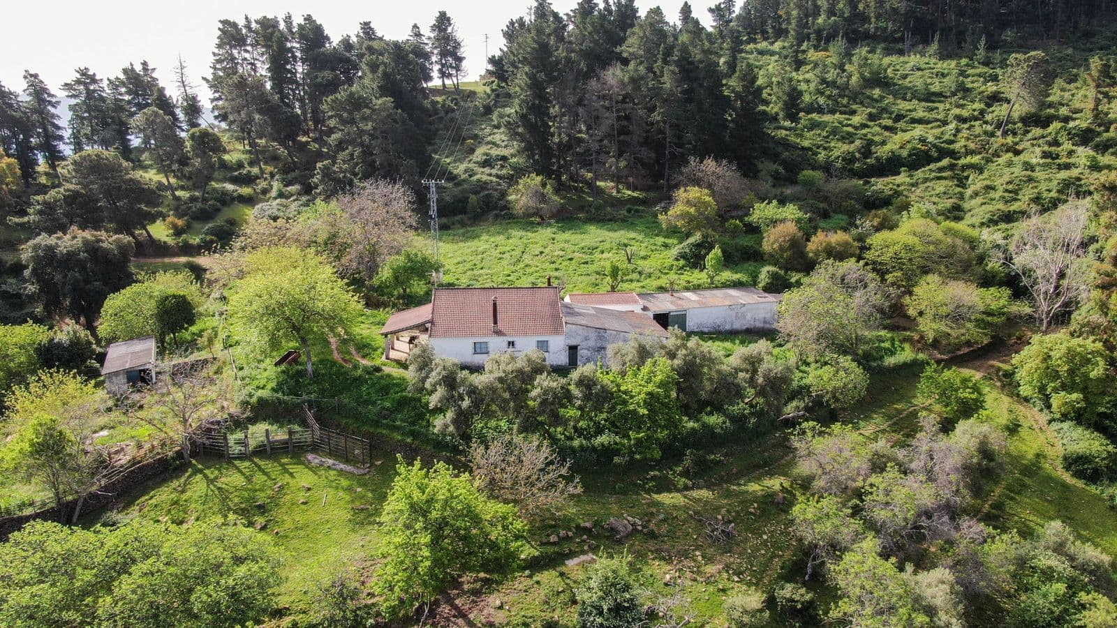 Finca - Cortijo in Gaucín, Gaucín