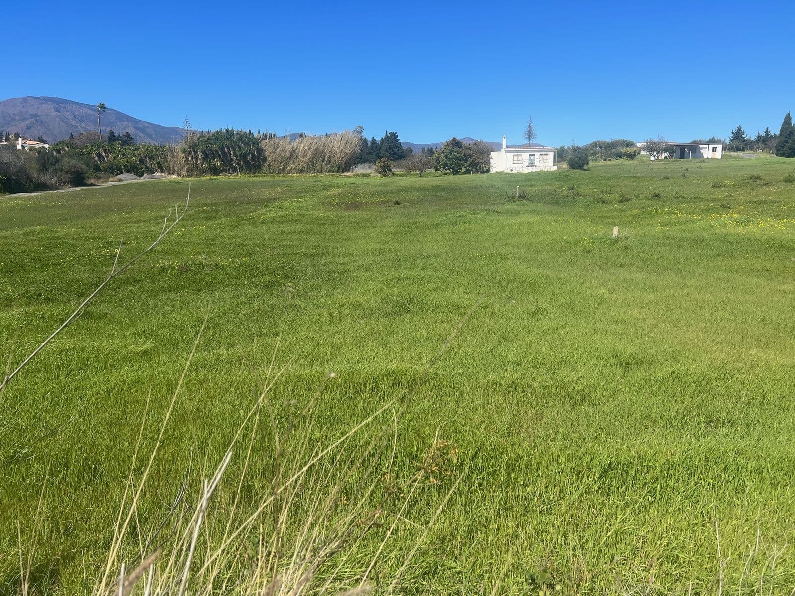 Commercial Plot in Estepona, Estepona