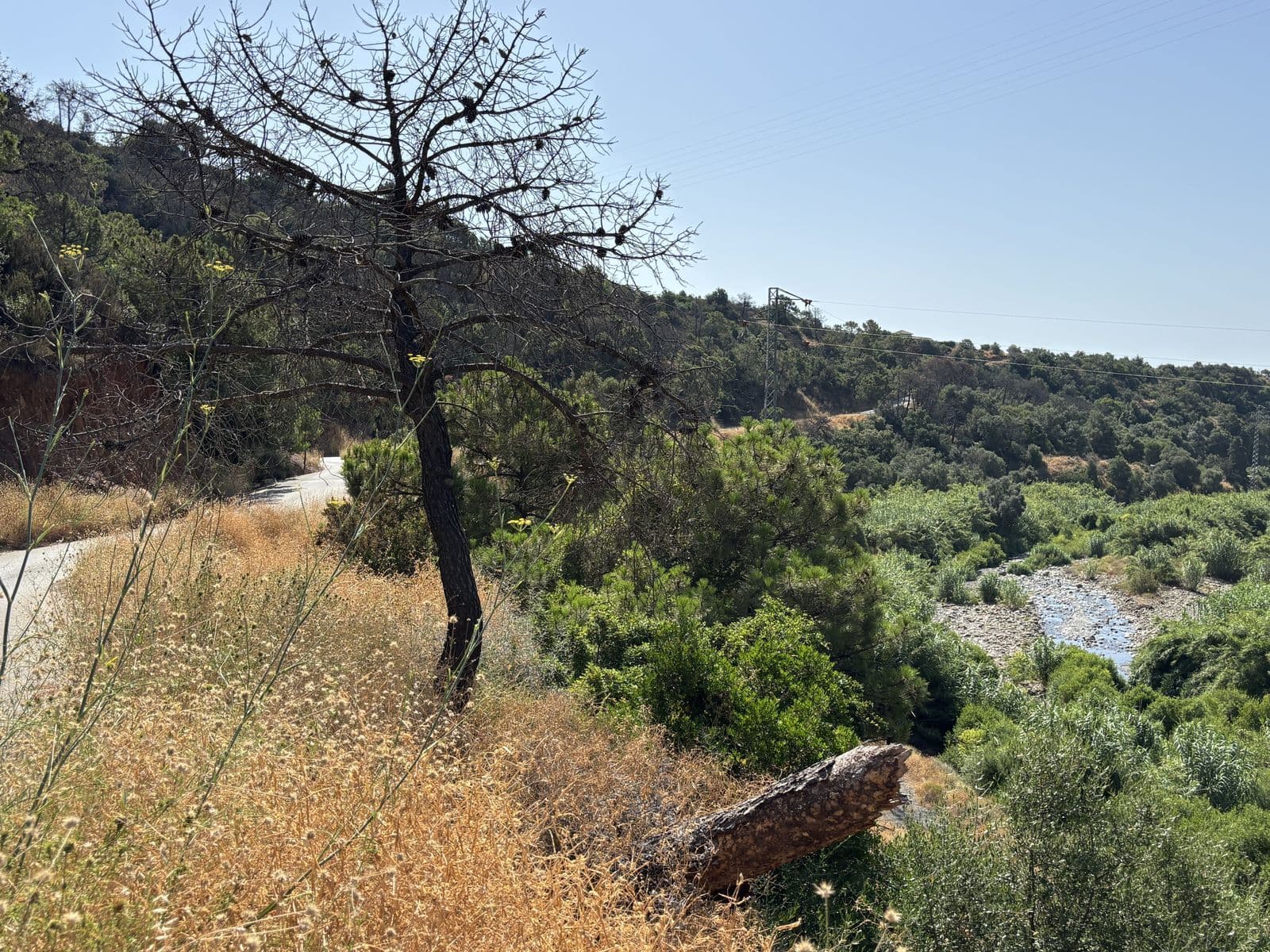 Land in El Padron, El Padron