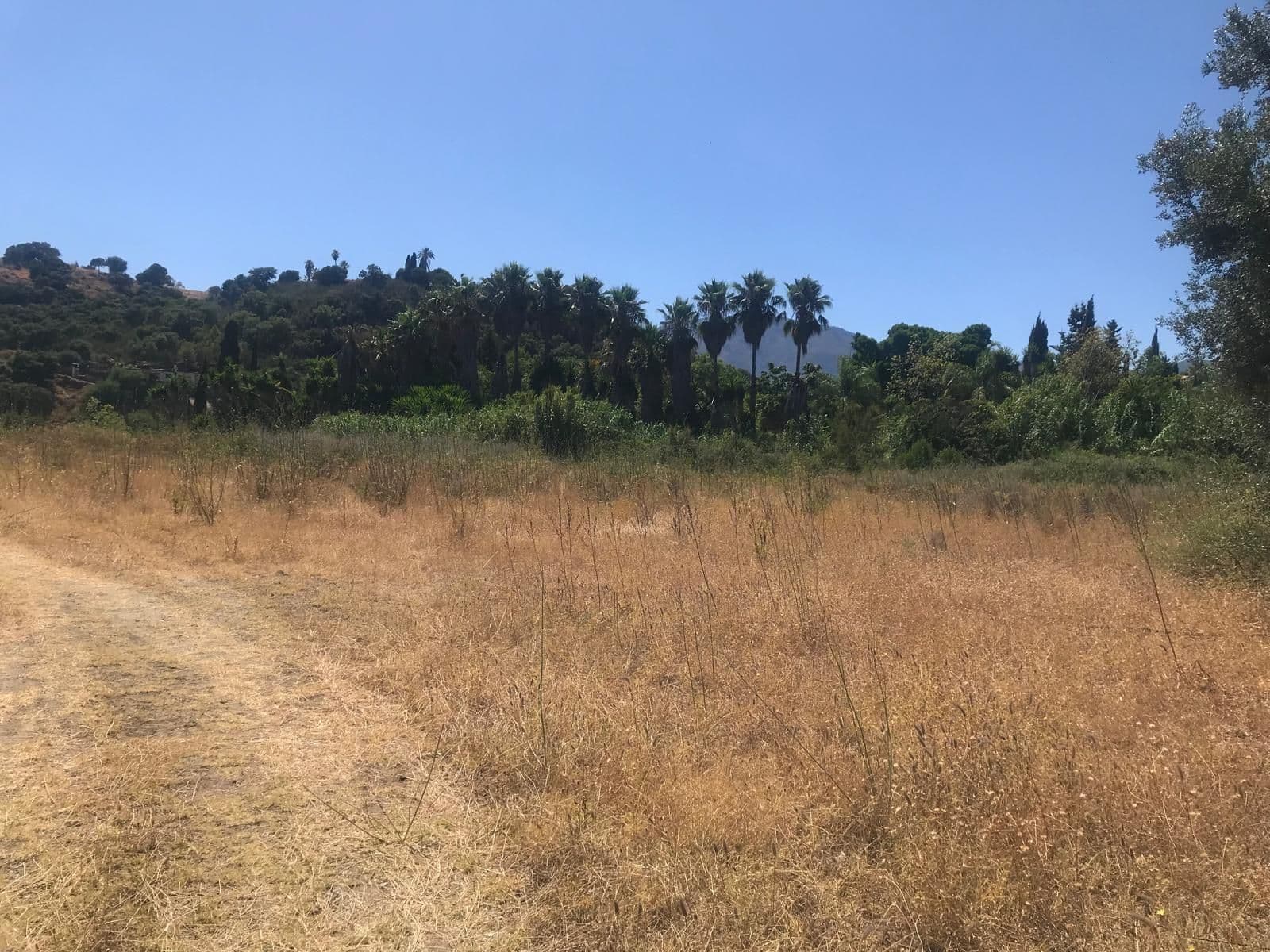 Land in Estepona, Estepona