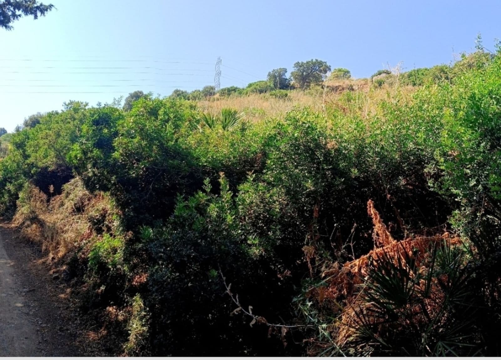 Land in Estepona, Estepona