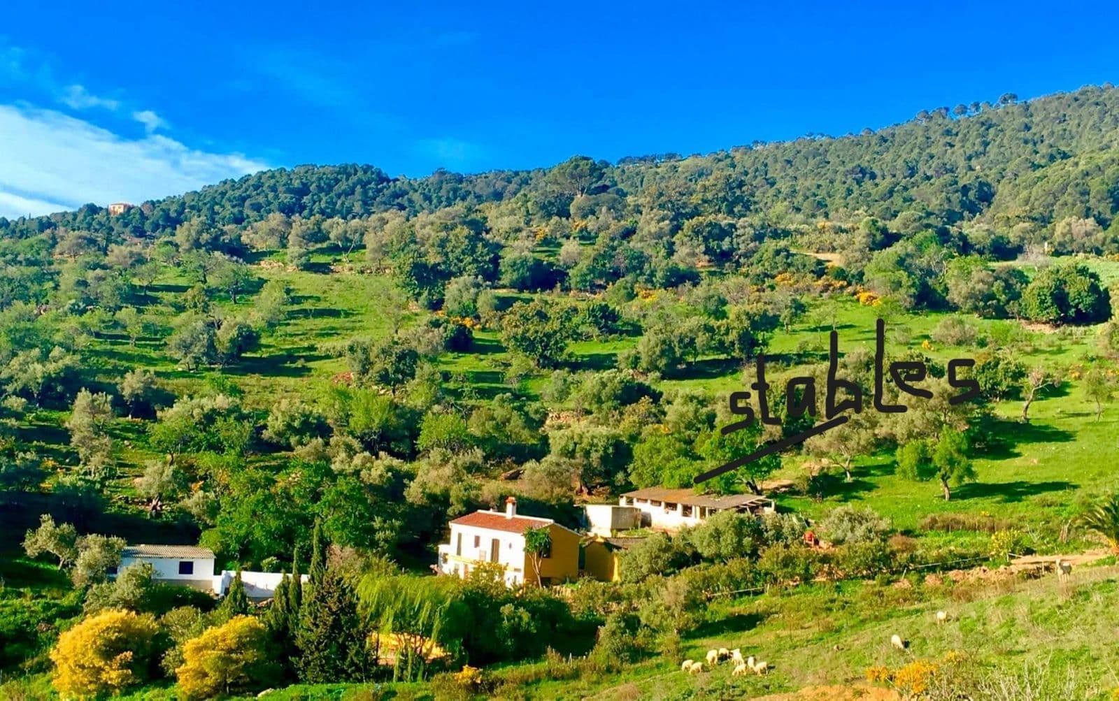 Finca - Cortijo in Gaucín, Gaucín