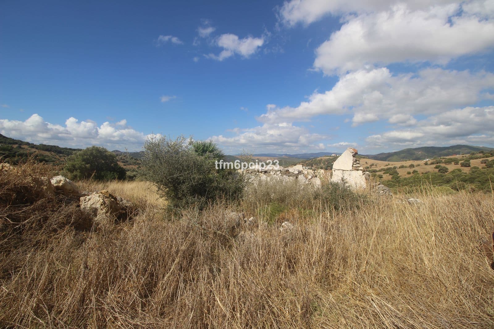 Land with Ruin in Casares, Casares
