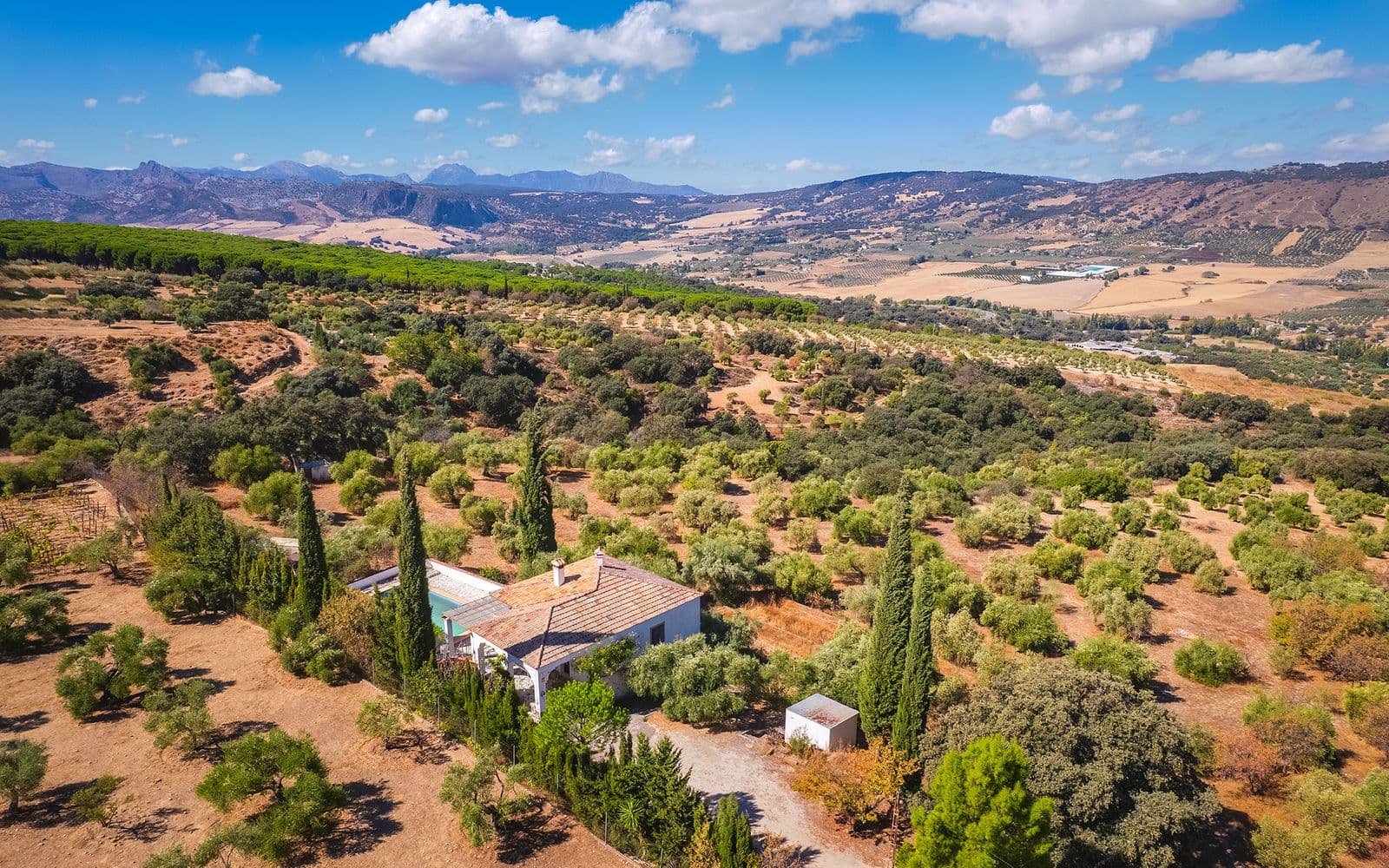 Finca - Cortijo in Ronda, Ronda