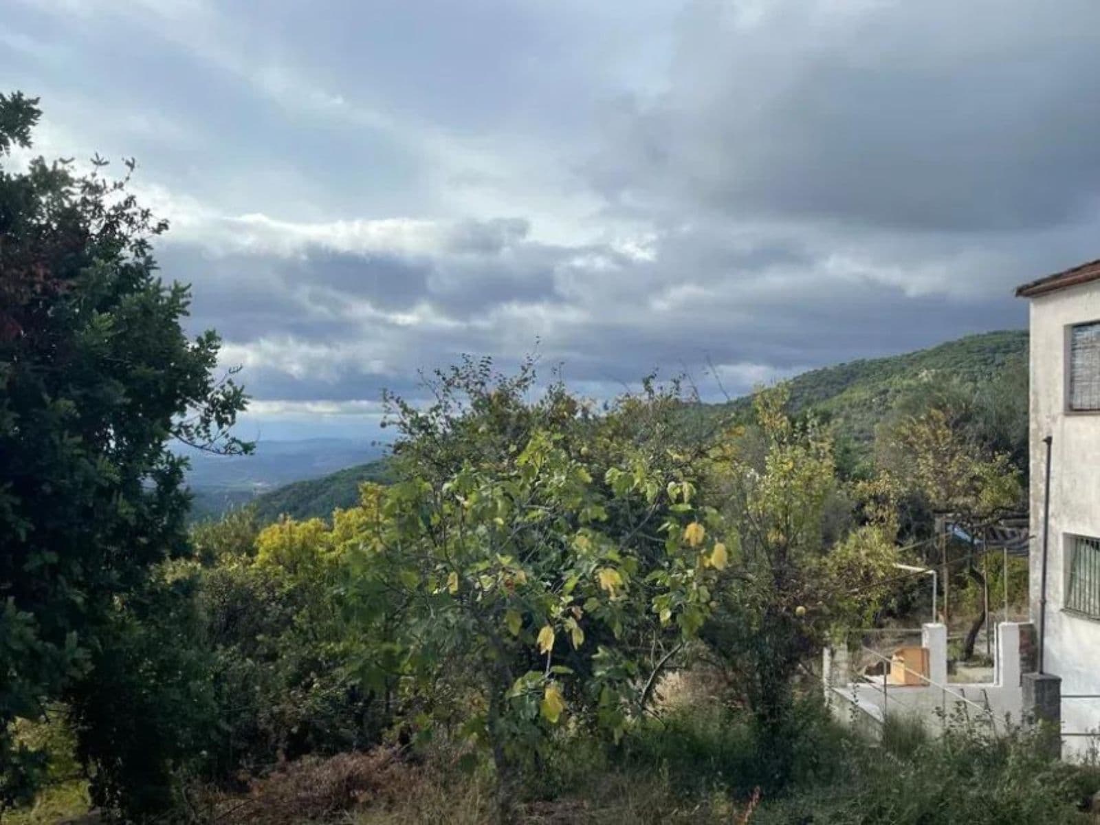 Land with Ruin in Gaucín, Gaucín