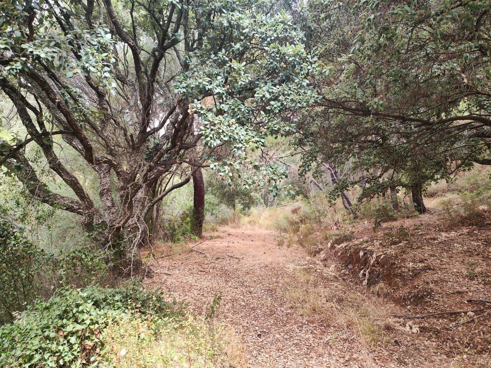Land in Istán, Istán