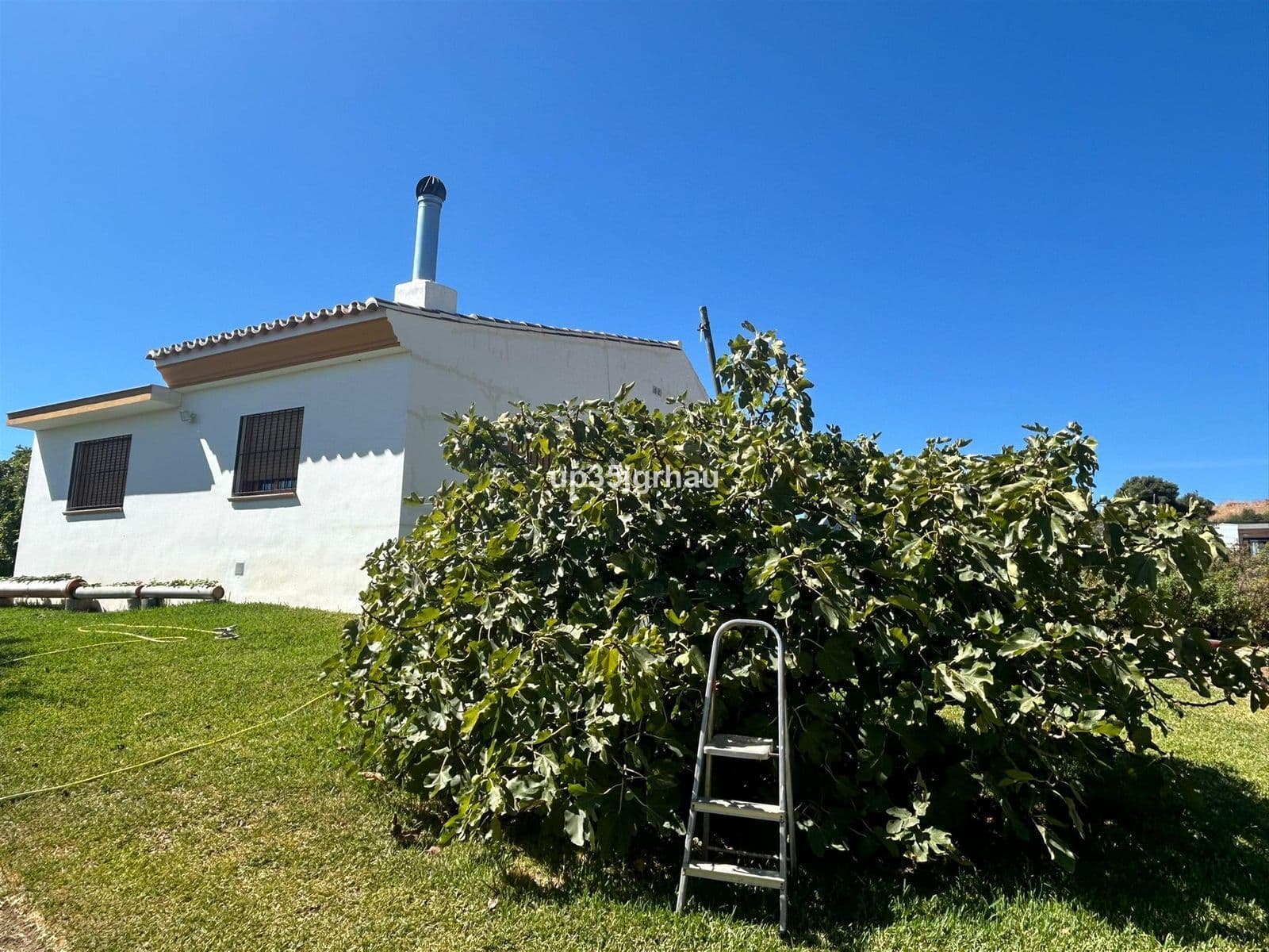 Finca - Cortijo in Estepona, Estepona