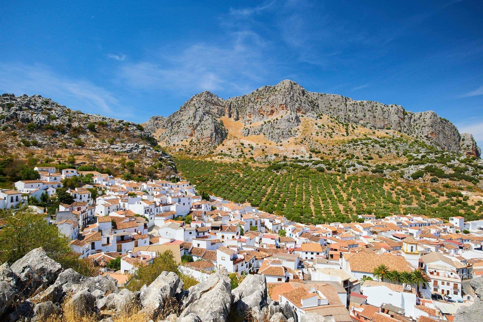 Residential Plot in Ronda, Ronda