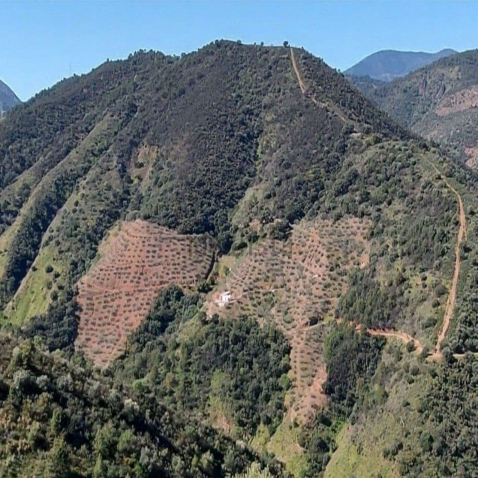Land in Monda, Monda