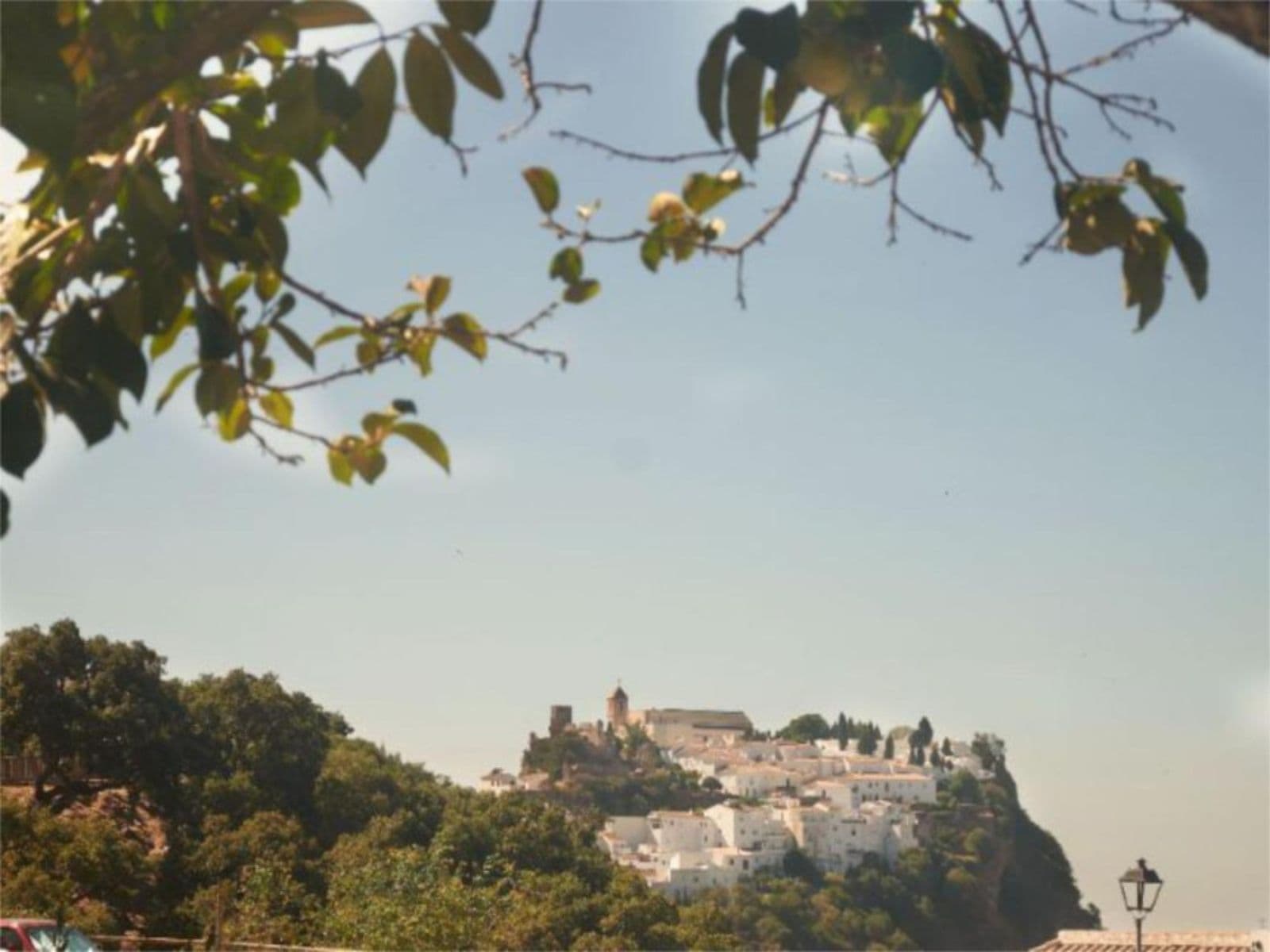 Finca - Cortijo in Casares, Casares