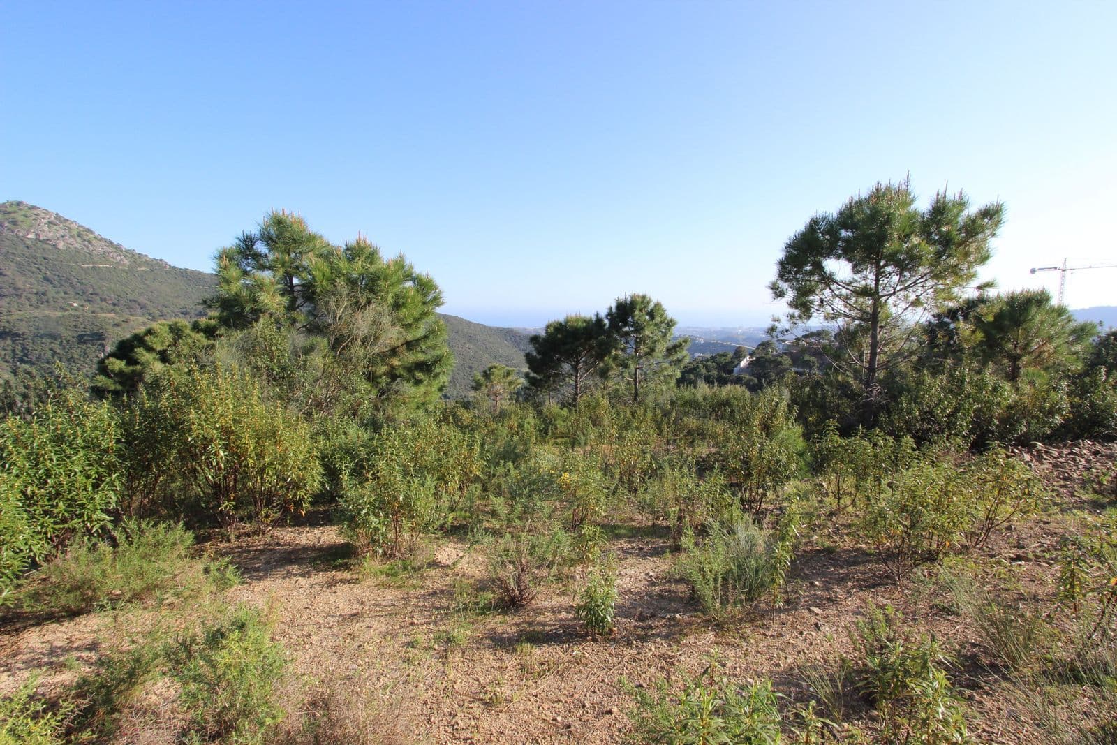 Residential Plot in Benahavís, Benahavís