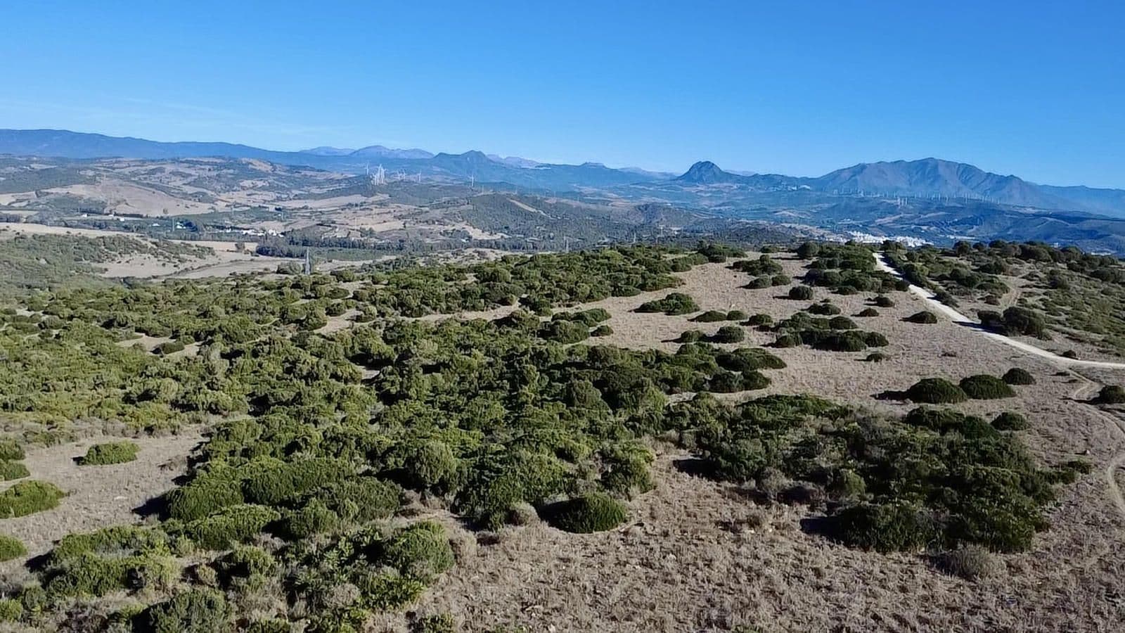Land with Ruin in Sotogrande, Sotogrande