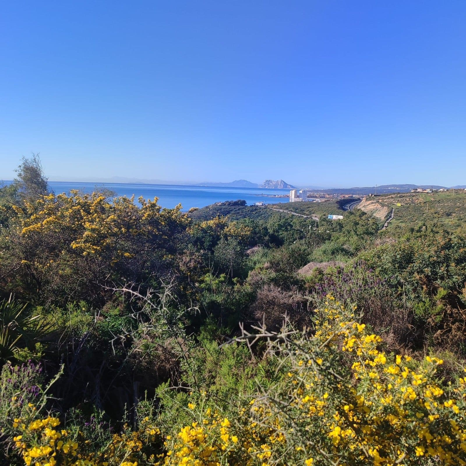 Residential Plot in San Diego, San Diego