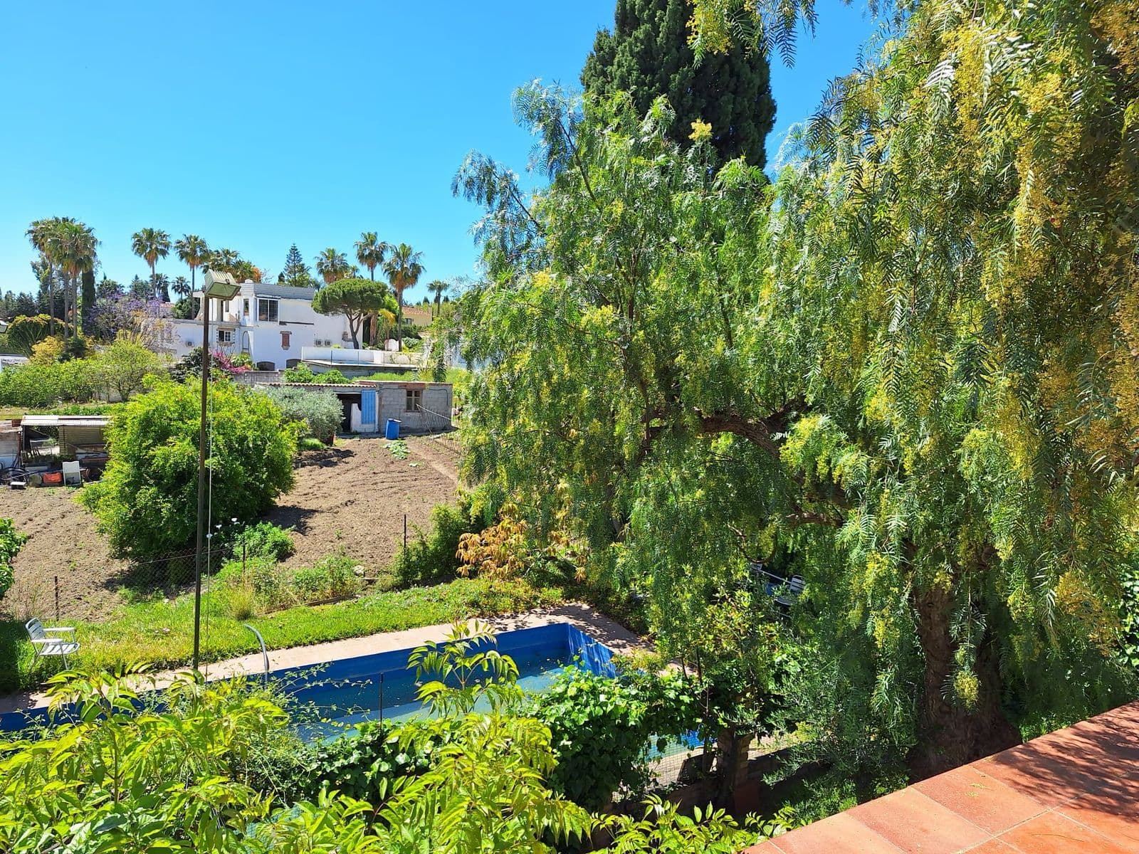 Finca - Cortijo in Estepona, Estepona