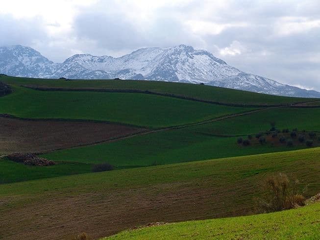 Land in Ardales, Ardales