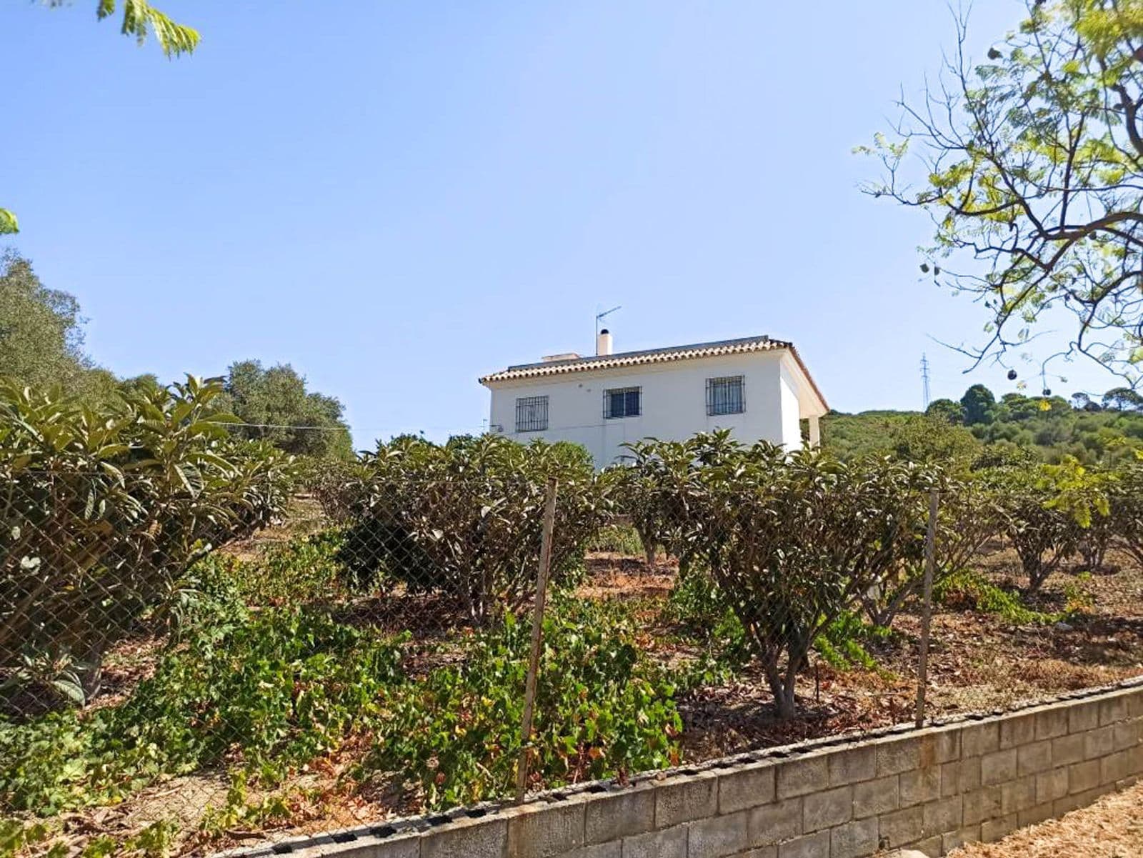Finca - Cortijo in Estepona, Estepona