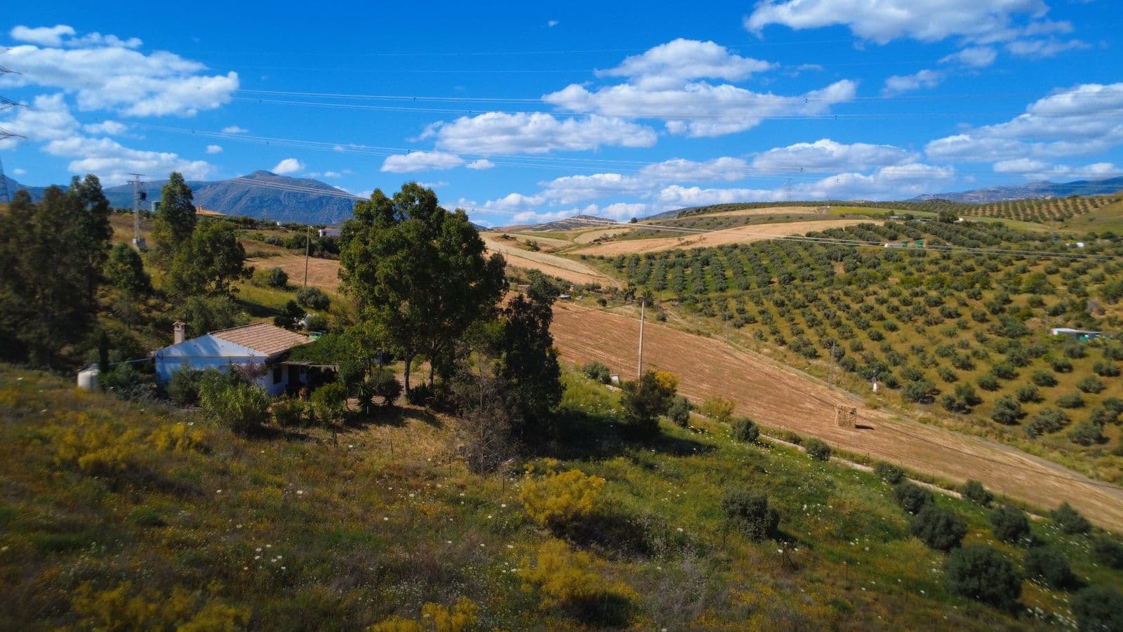 Finca - Cortijo in Alora, Alora