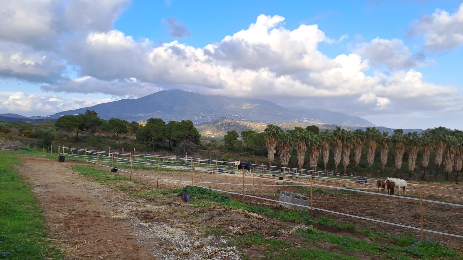 Other in Campo Mijas, Fuengirola