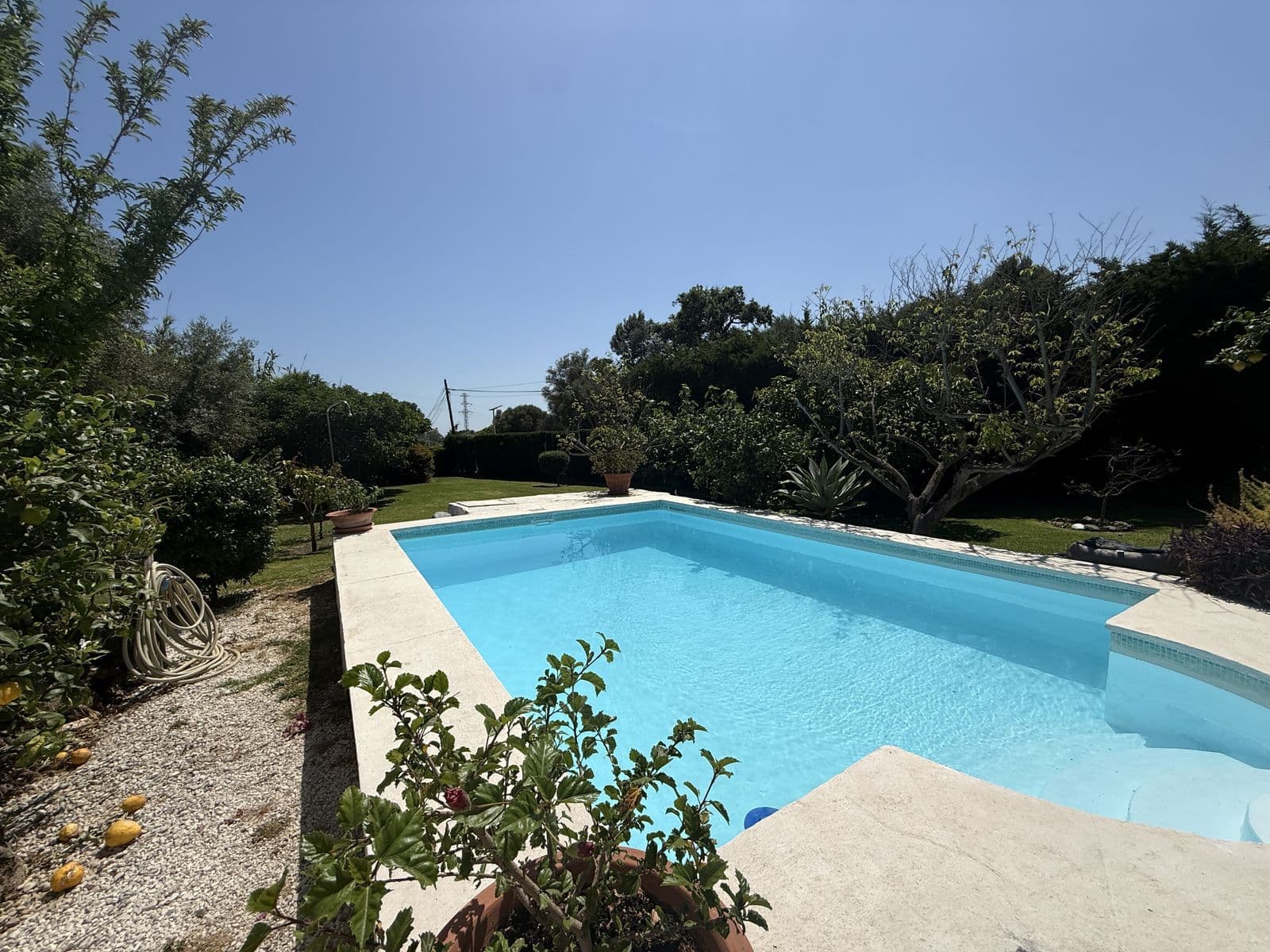 Finca - Cortijo in Estepona, Estepona