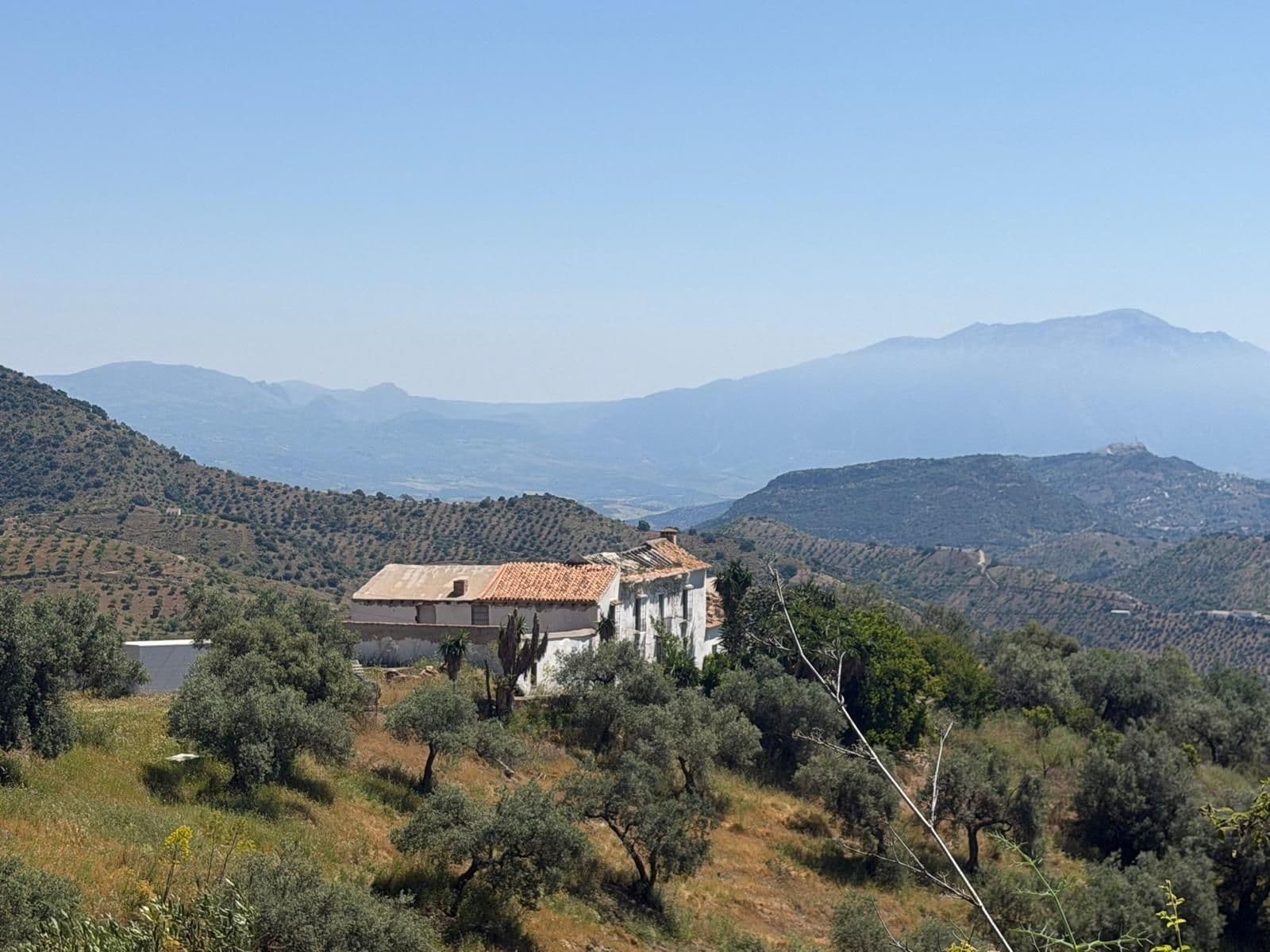 Finca - Cortijo in Málaga Este, Málaga