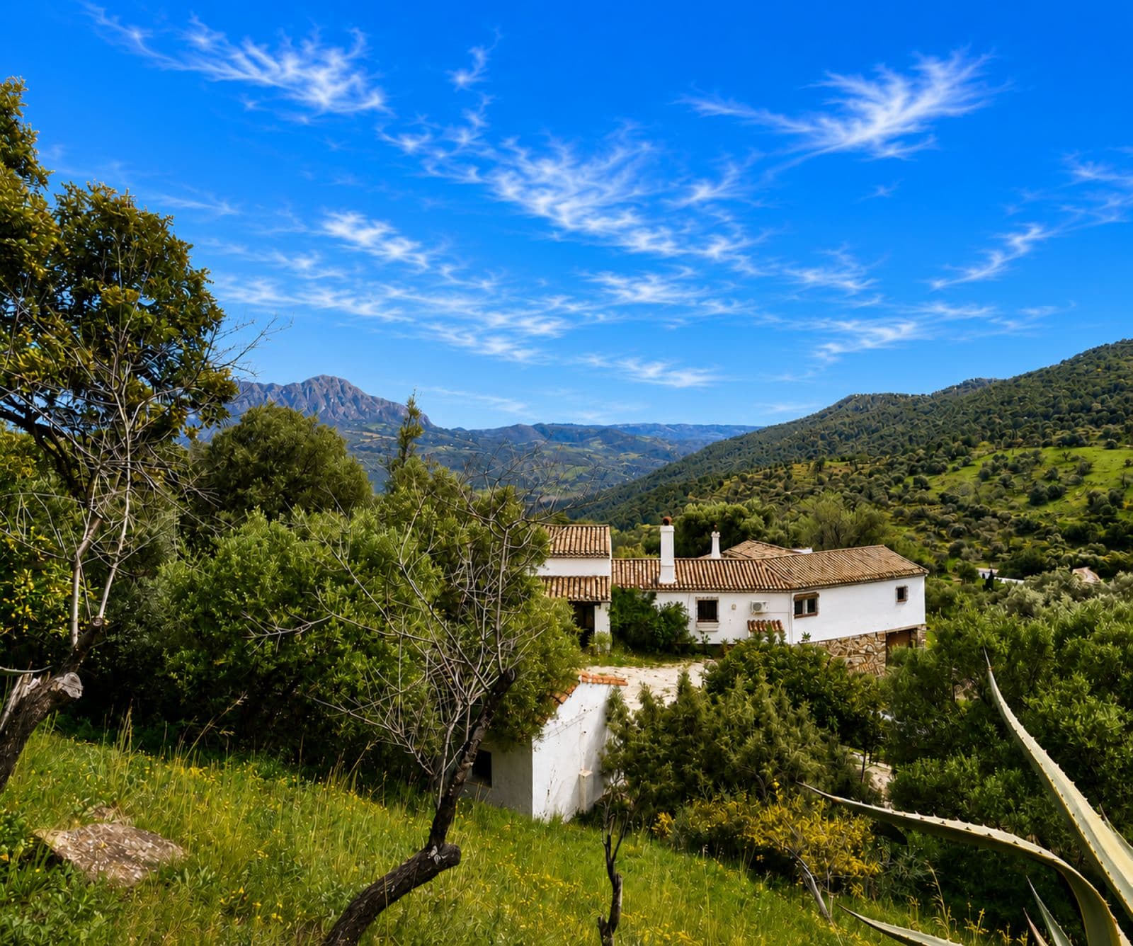 Finca - Cortijo in Gaucín, Gaucín