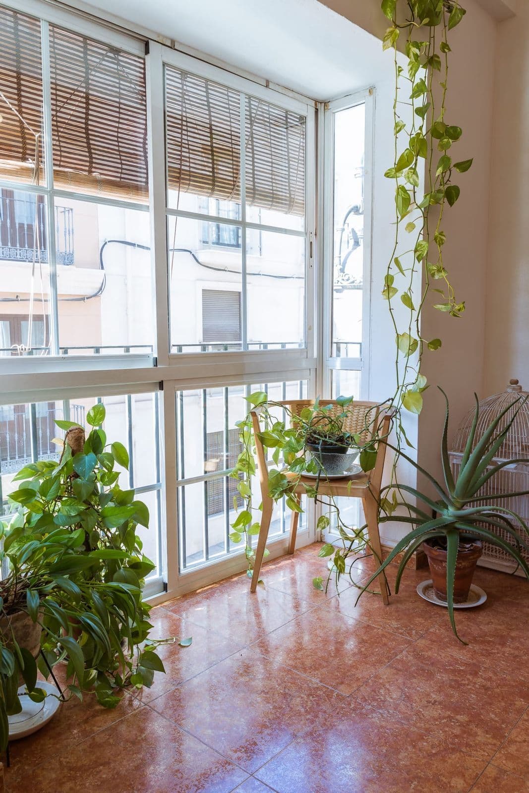 Middle Floor Apartment in Málaga Centro, Málaga