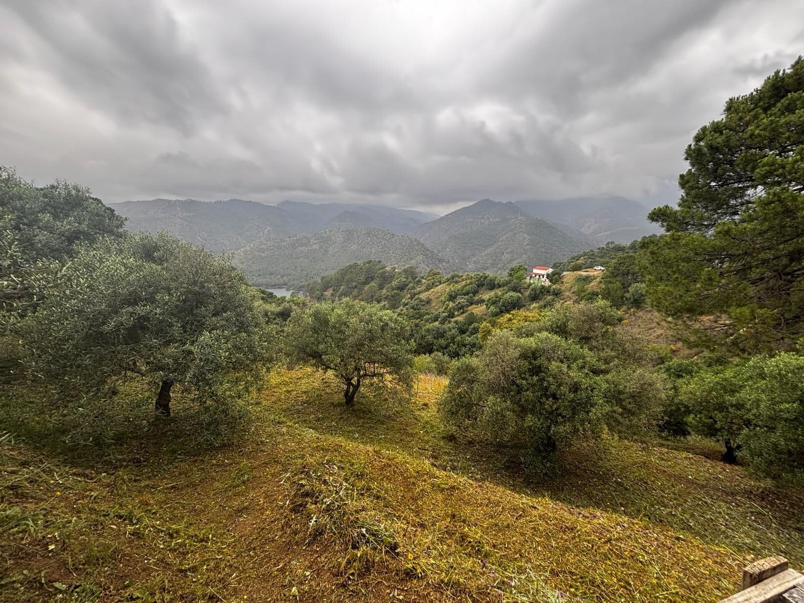 Land in Istán, Istán