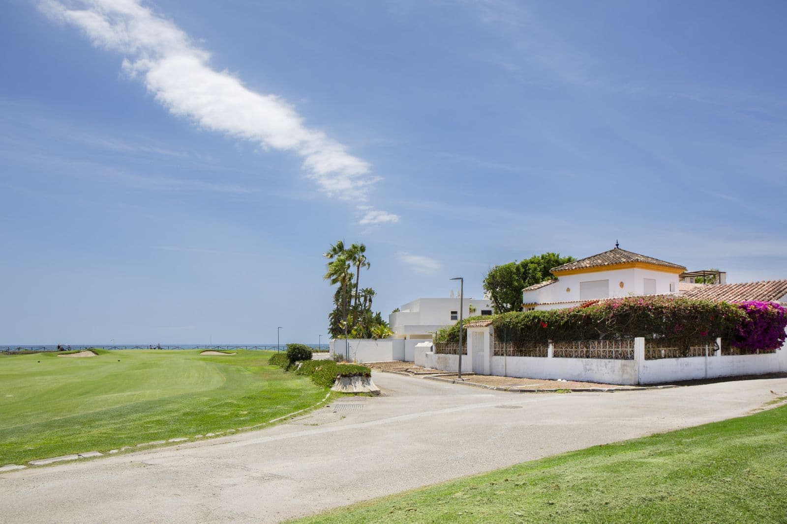 Detached Villa in Guadalmina Baja, Marbella