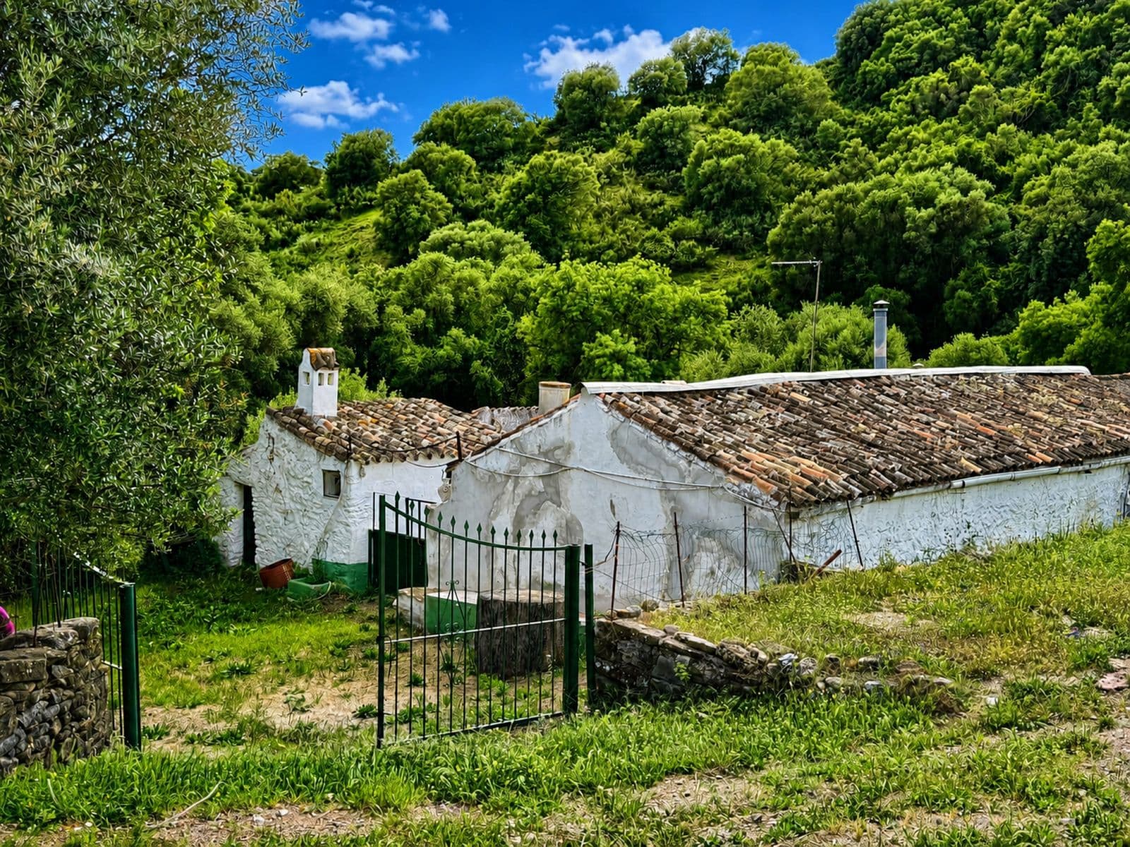 Farm in Gaucín, Gaucín