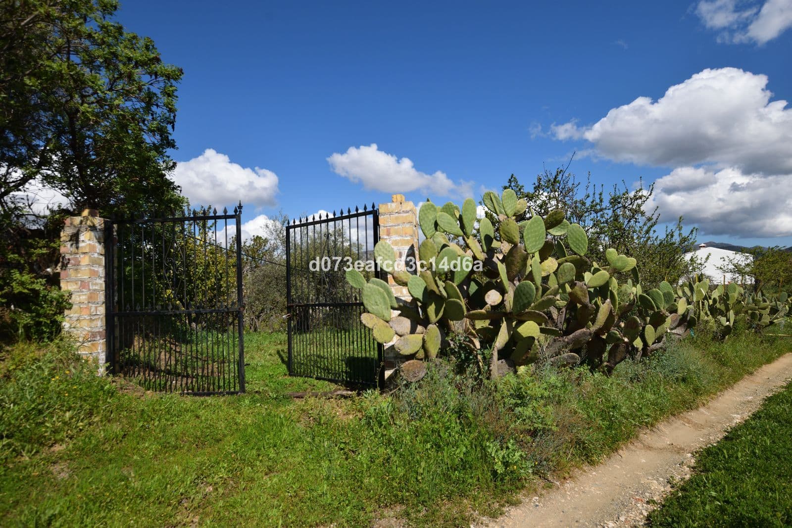 Finca - Cortijo in Cartajima, Cartajima