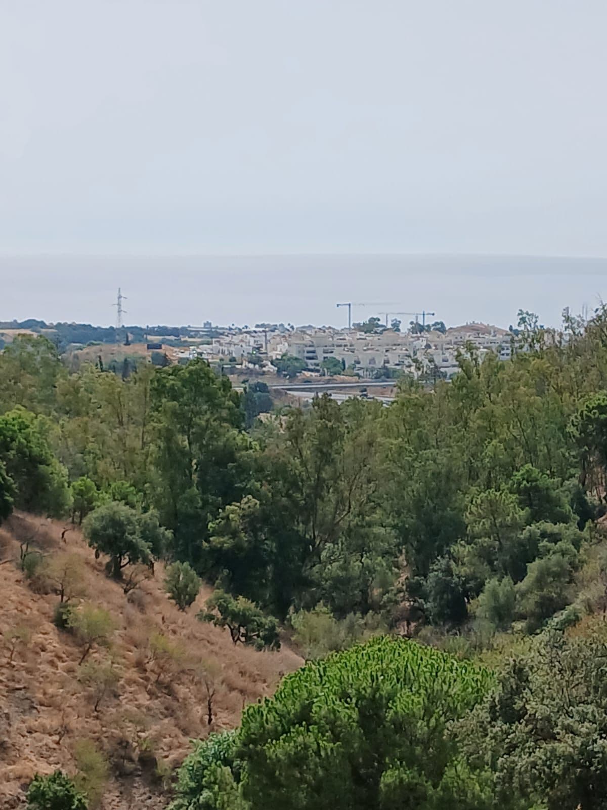 Finca - Cortijo in Estepona, Estepona