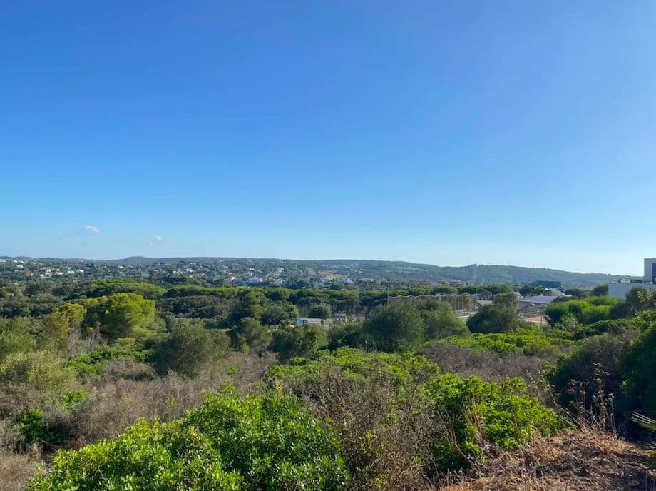 Land in Sotogrande, Sotogrande