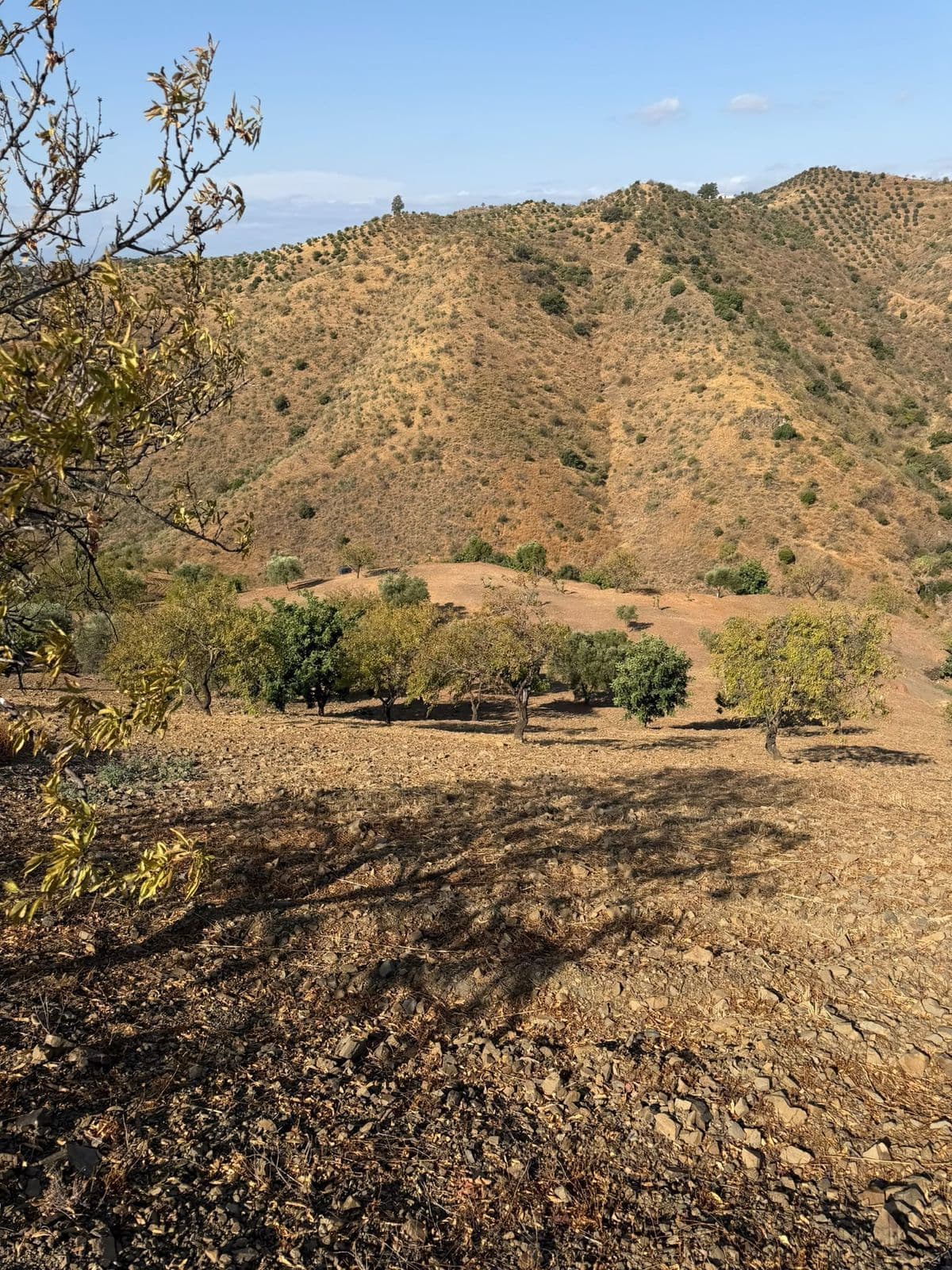Land in Cártama, Cártama